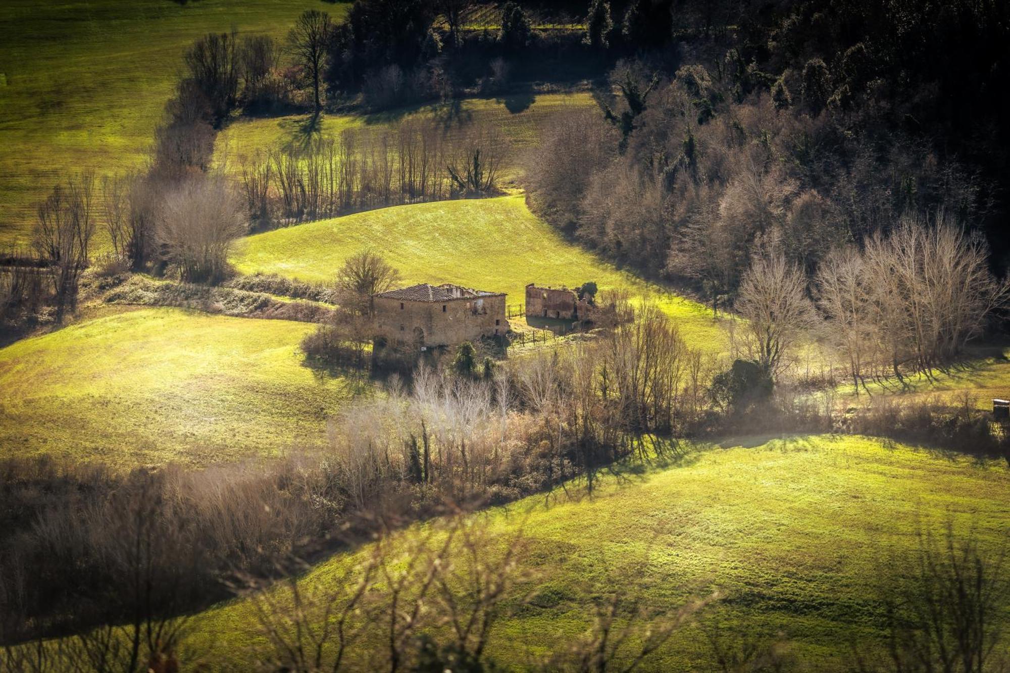 Borgo Il Poggio Agritourismo Villa Montaione Eksteriør bilde