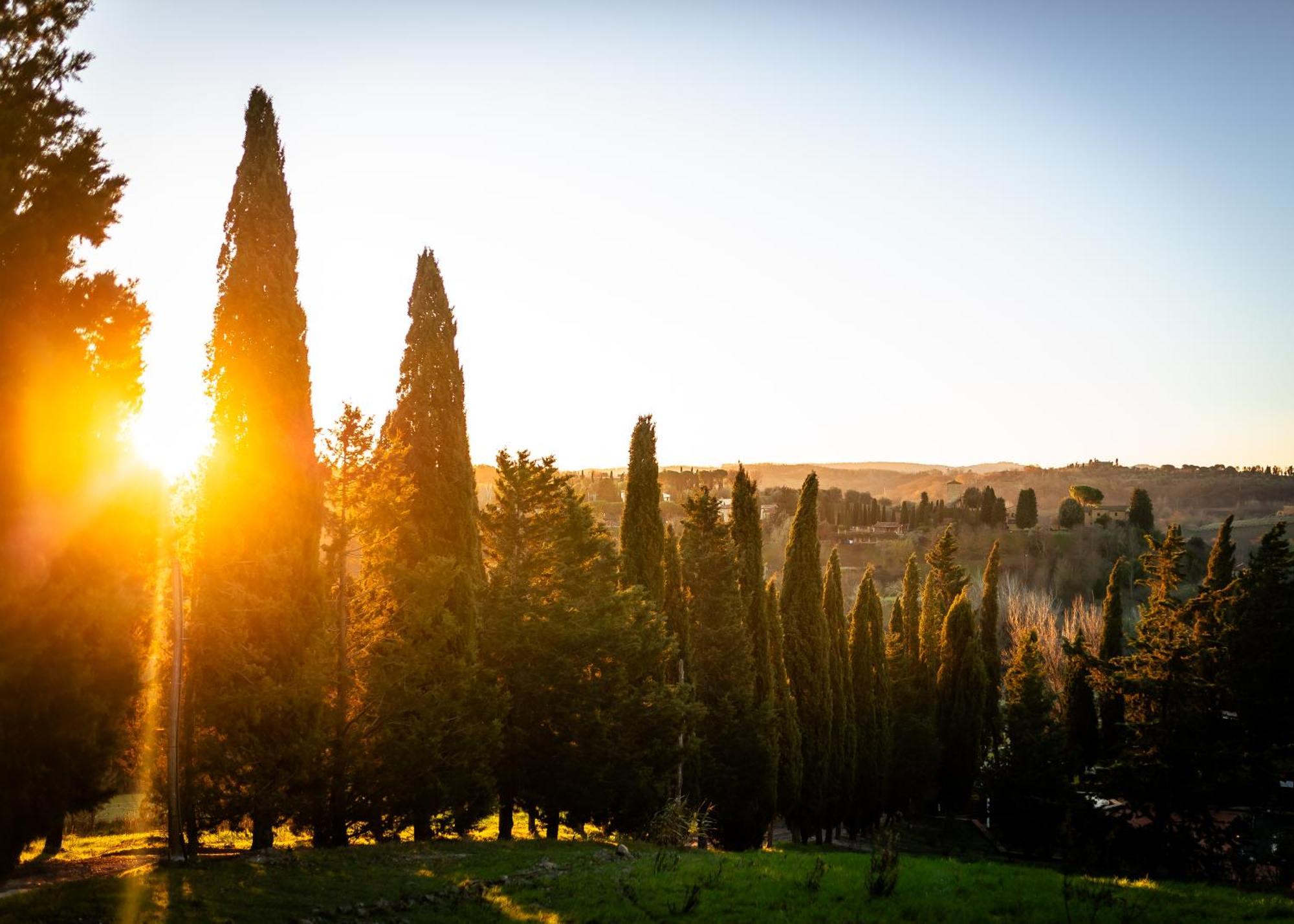 Borgo Il Poggio Agritourismo Villa Montaione Eksteriør bilde